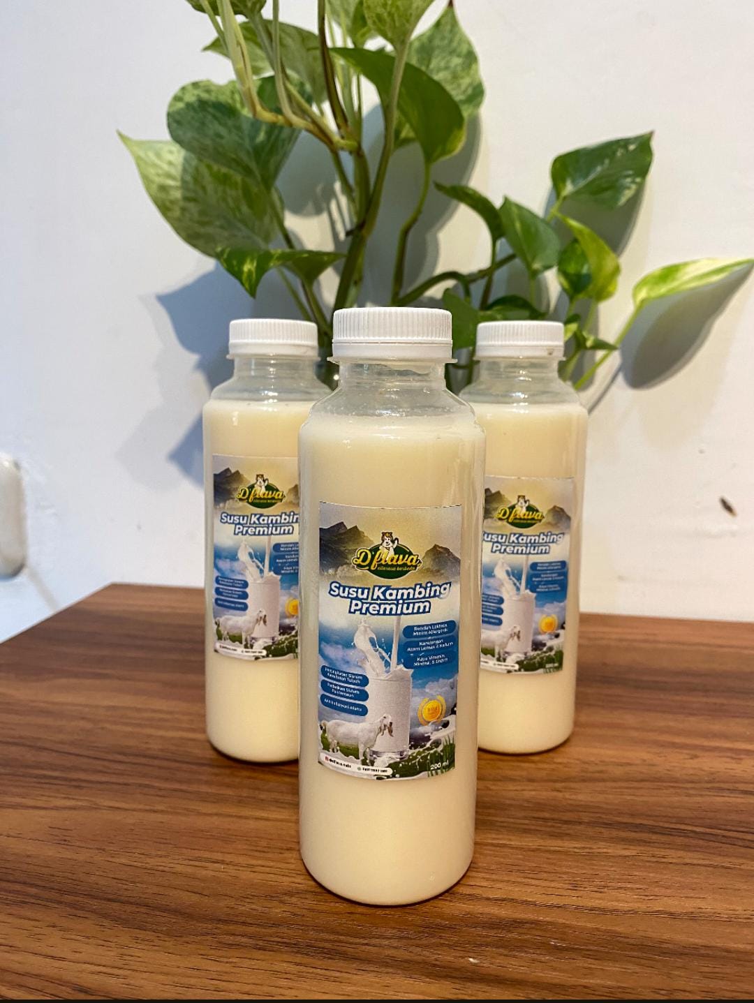 susu Kambing